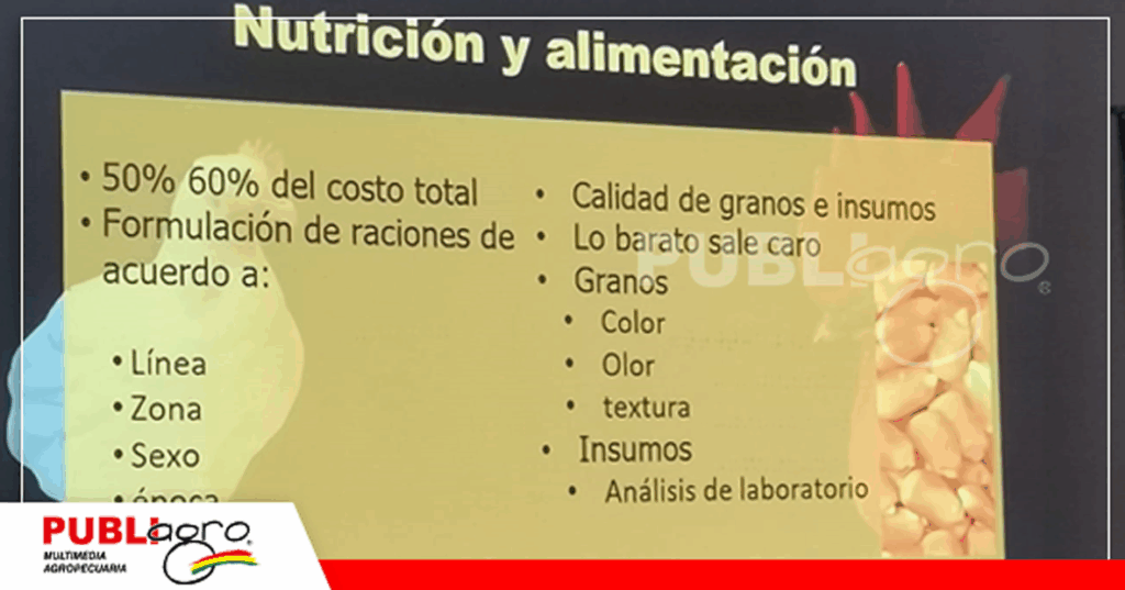 4 Foto: Publiagro