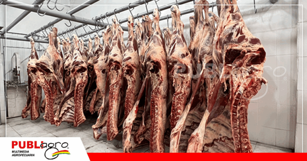 Las preguntas a los candidatos también irán hacia la libre exportación/ Foto: Internet