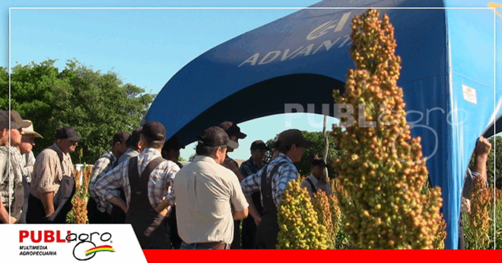 Hubo estaciones donde explico las características de los híbridos de sorgo Sentinel IG y Halifax/ Foto: Publiagro