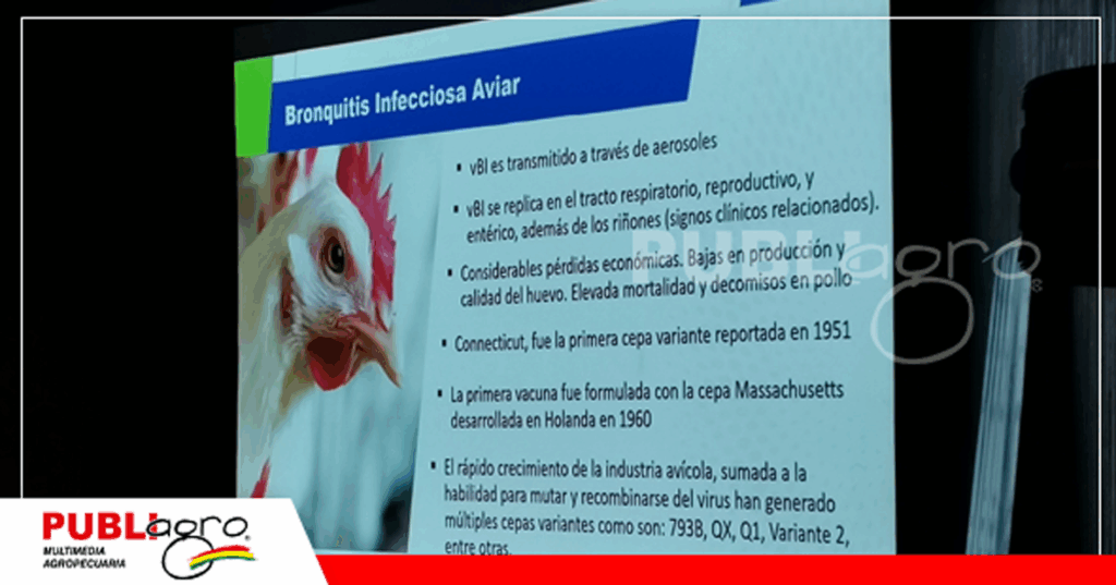 Foto: Publiagro