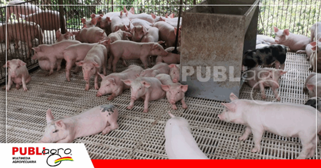 Foto: Publiagro Archivo