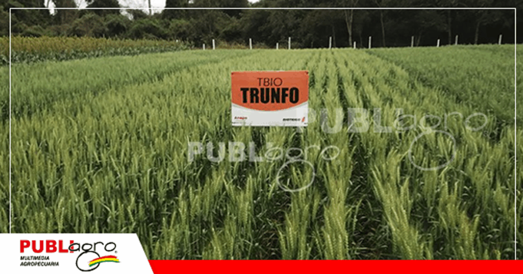 Foto: Archivo Publiagro