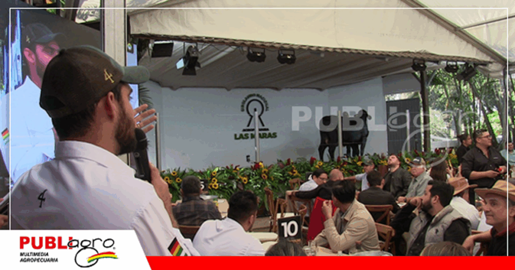 Foto: Publiagro