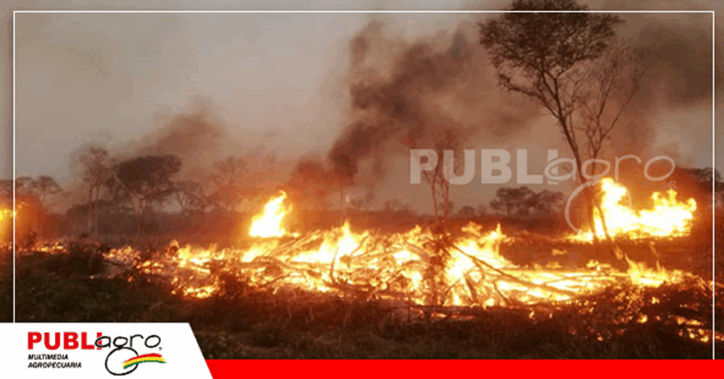 Foto: Ministerio de Medio Ambiente