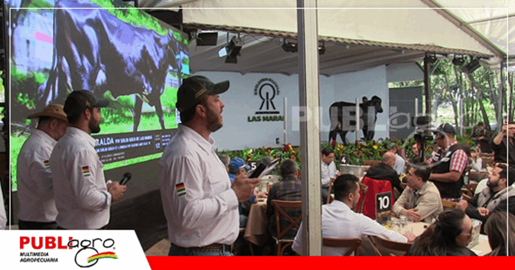 Foto: Publiagro