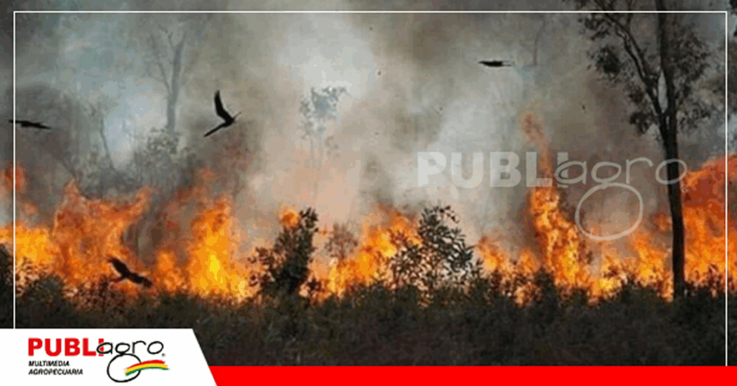 Foto: Ministerio de Medio Ambiente