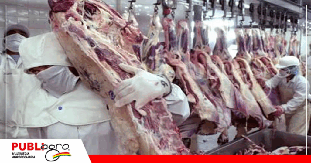 Los frigoríficos pararon el faenado de reses destinadas a EEUU / Foto: Internet