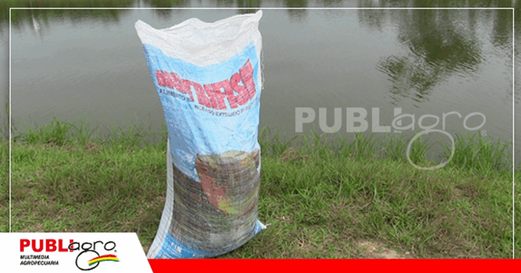 Alimento para peces de la línea Nutrifish/ Foto: Publiagro