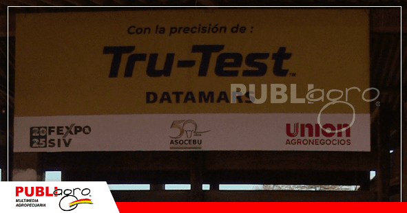 Asocebu tabula los datos en base a lo generado por Tru Test / Foto. Publiagro