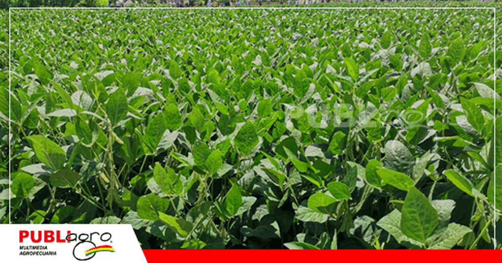 Foto: Publiagro archivo