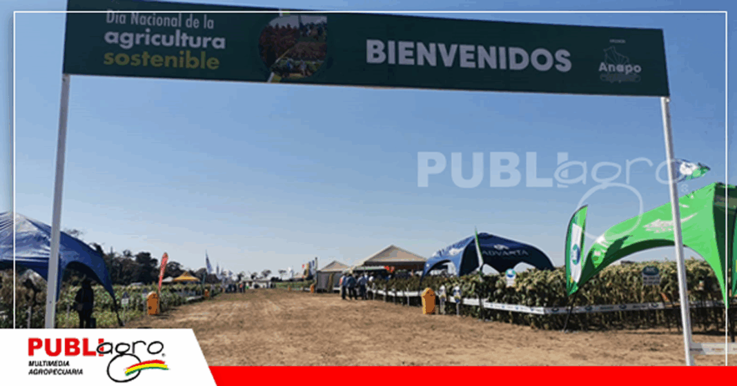 Feria por el Día Nacional de la Agricultura Sostenible/ Foto: Publiagro