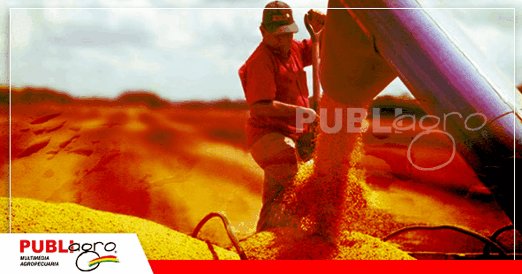 La soya y sus subproductos lideran las exportaciones no tradicionales este año / Foto: Internet