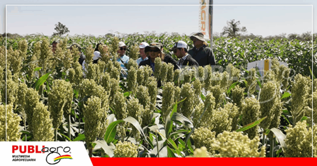 Foto: Publiagro