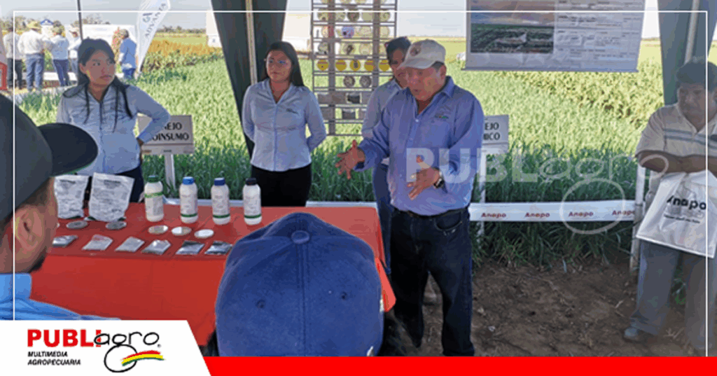 Bioinsumos elaborados por Proimpa/ Foto: Publiagro