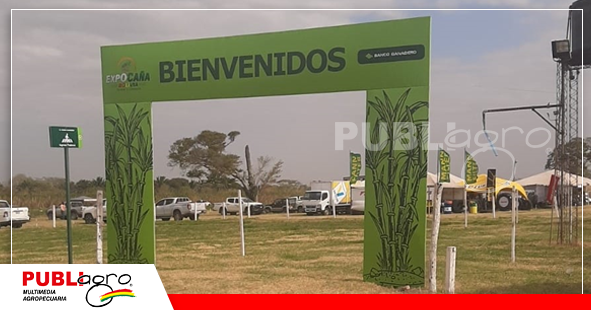 Foto: Publiagro