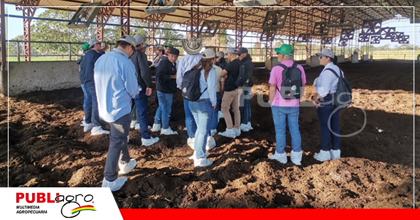 El compost barn en Agropecuaria Las Maras/ Foto: Publiagro