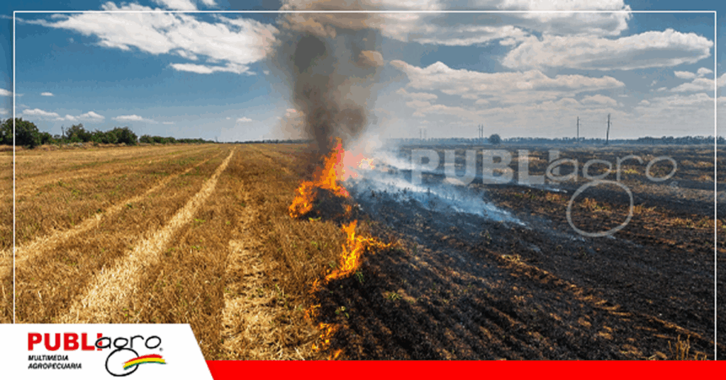 Actualmente hay incendios activos en zonas protegidas / Foto: Internet