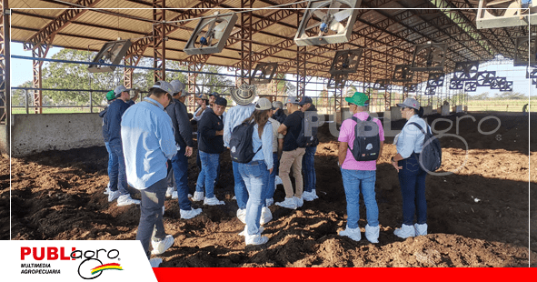 El compost barn en Agropecuaria Las Maras/ Foto: Publiagro