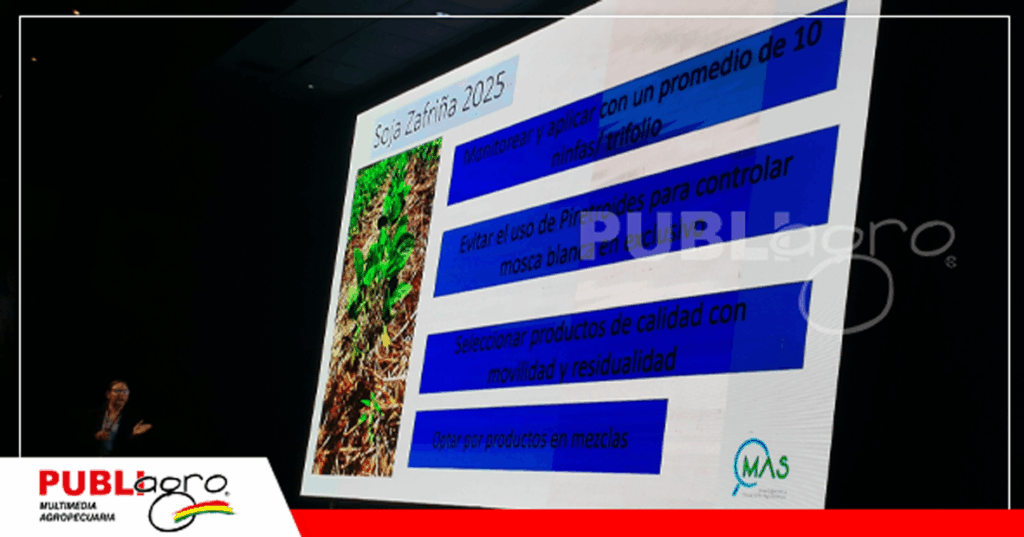 Foto: Publiagro