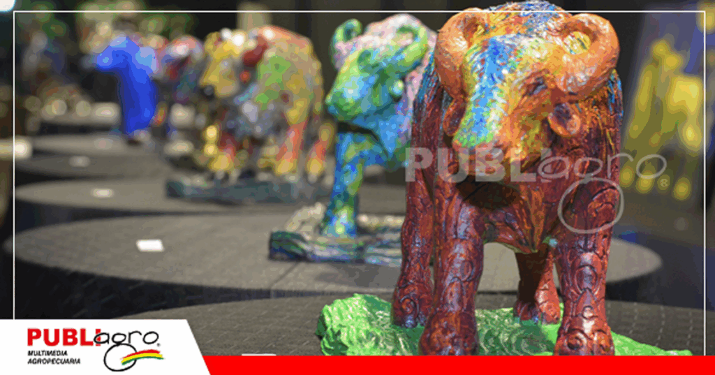 Estas son algunas de las obras que se subastaron/ Foto: Asocriabuf