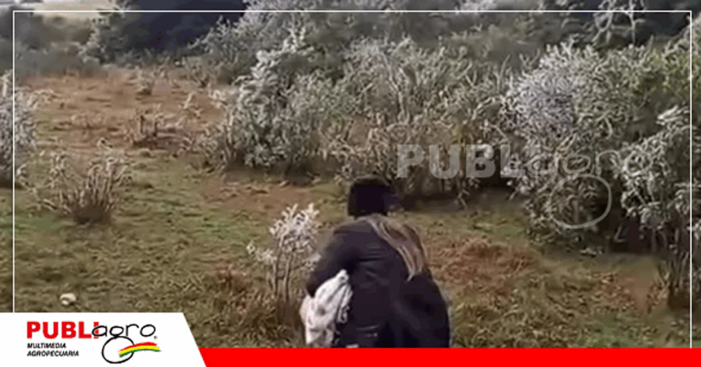 Foto: Revista Al Dia Vallegrande