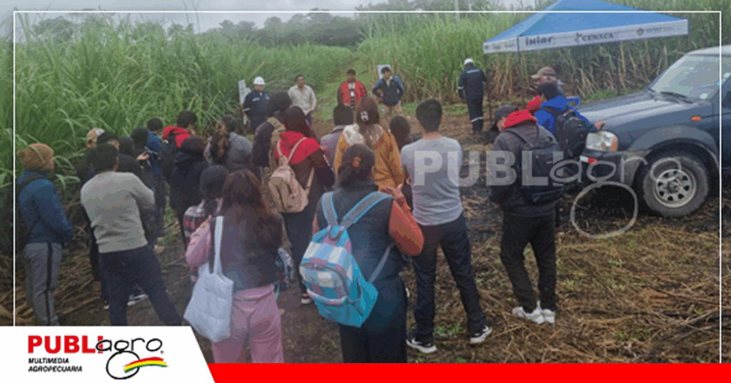 Foto: Cenaca