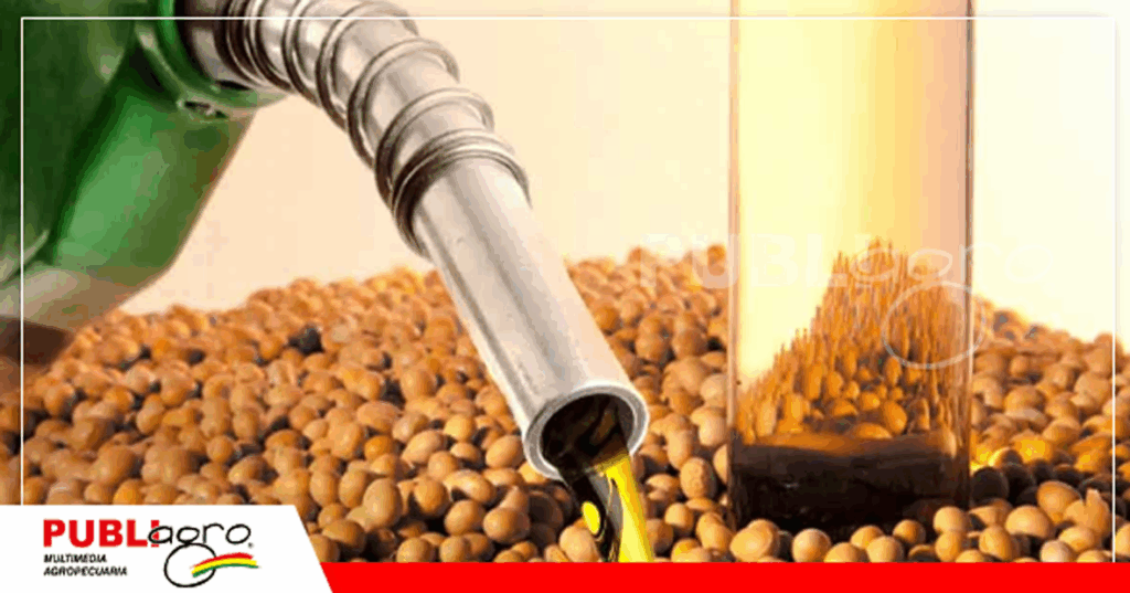 37 La soya es el insumo principal para poder general biocombustible en sustitución al diesel / Foto: Internet