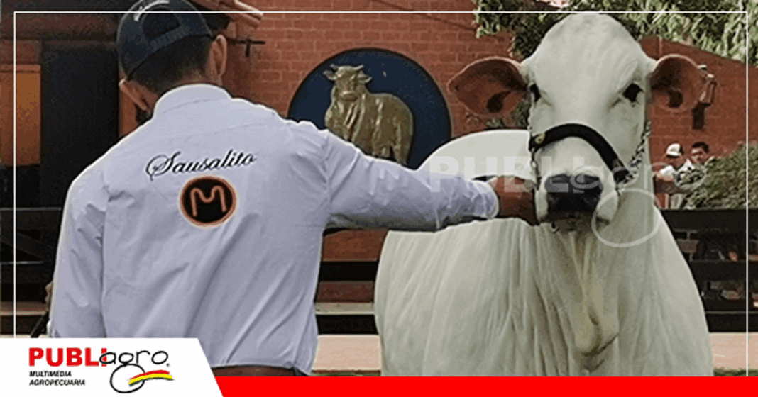 4 Foto: Publiagro