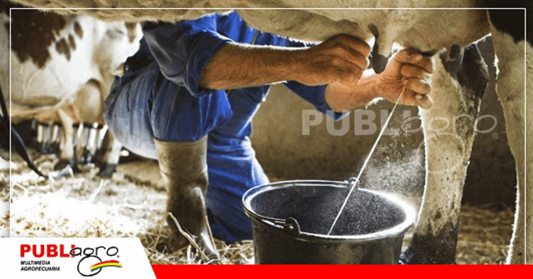 Producir leche se esta volviendo complicado por la falta de condiciones / Foto: Internet