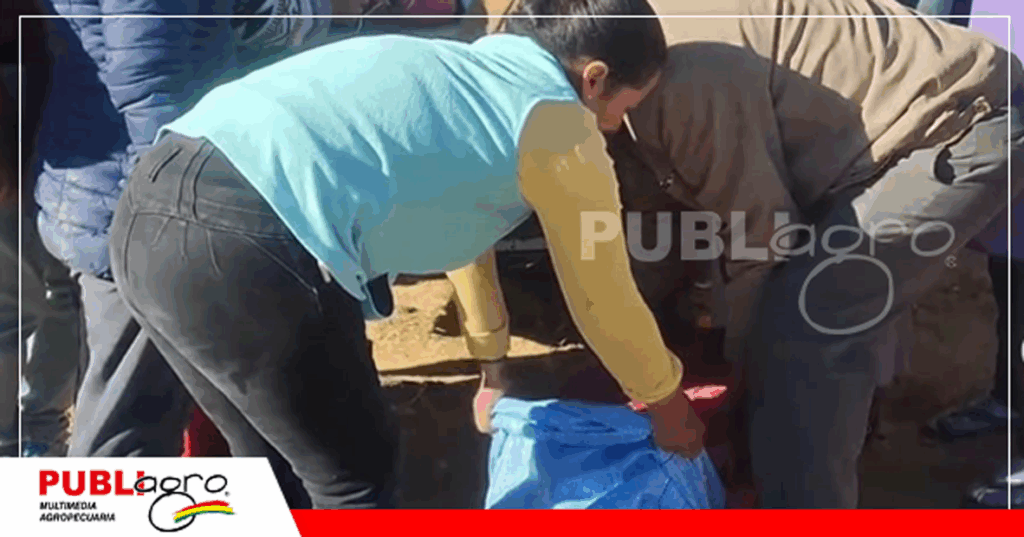 Foto:Leonides Carrasco