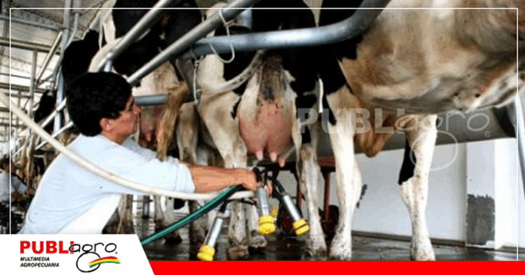 Los insumos se han encarecido en un 70% / Foto: Internet