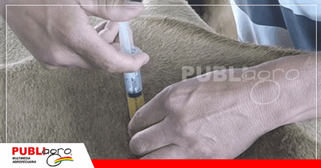 6 Foto: Publiagro