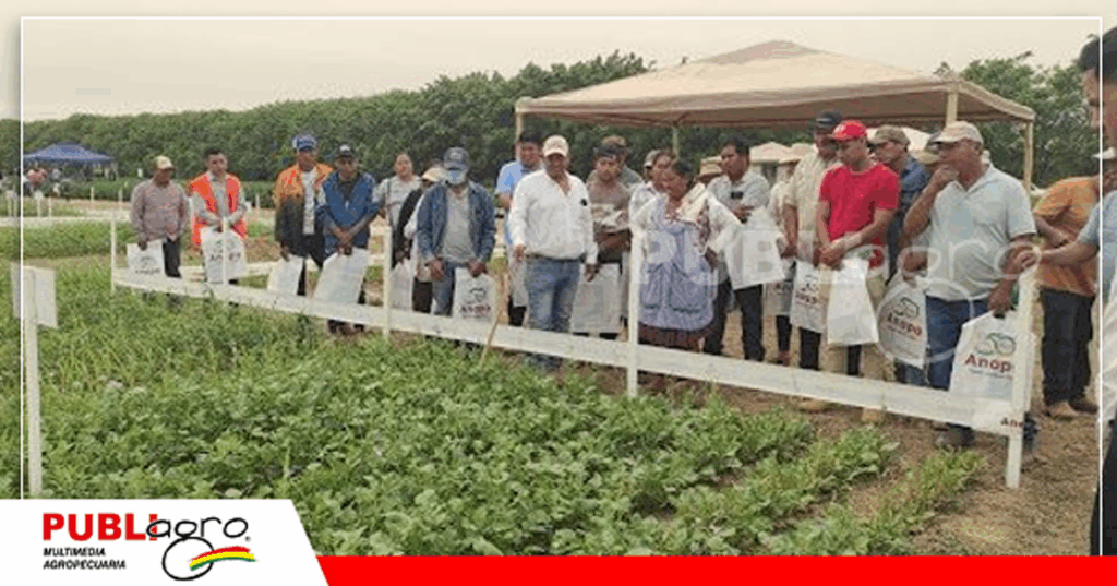 Foto: Publiagro