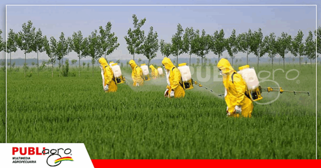 La agricultura mexicana tomará un rumbo agroecológico / Foto: Internet