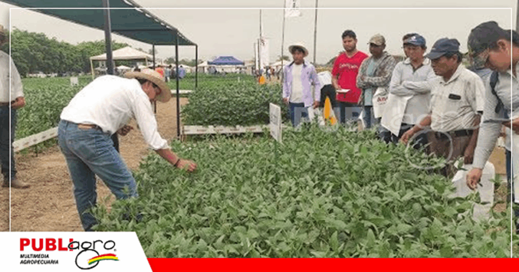 Foto: Publiagro