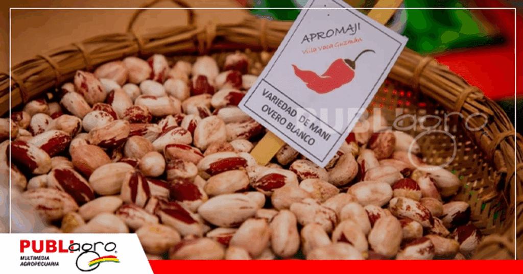 Foto: Gobernación de Chuquisaca