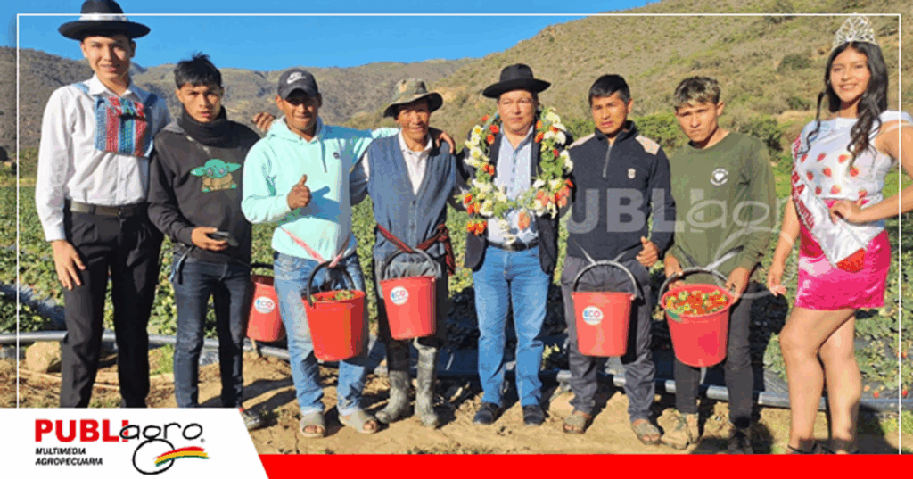 Foto: Gobierno Autónomo Municipal de Comarapa