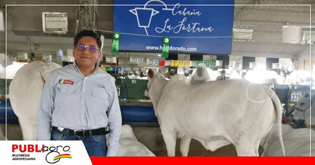 Carlos Alberto Maldonado, un paceño que fue conquistado por la genética Nelore / Foto: Publiagro