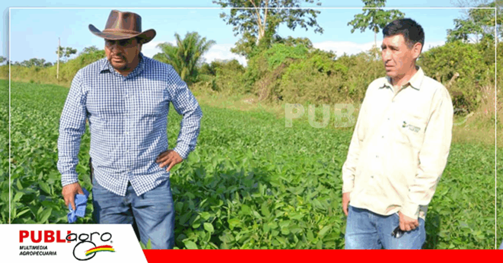 Autoridades supervisando el avance del cultivo de soya en Ixiamas / Foto: MDRyT