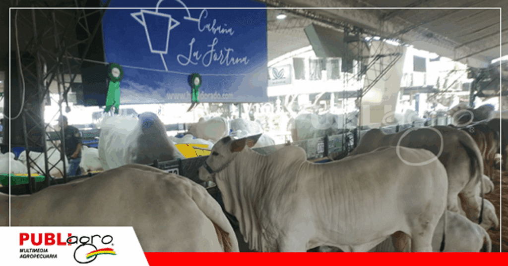 Su primera participación en la Expocruz / Foto: Publiagro