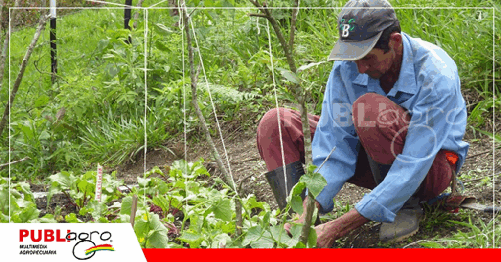 21 La producción orgánica también sostuvo un interesante crecimiento / Foto: Internet