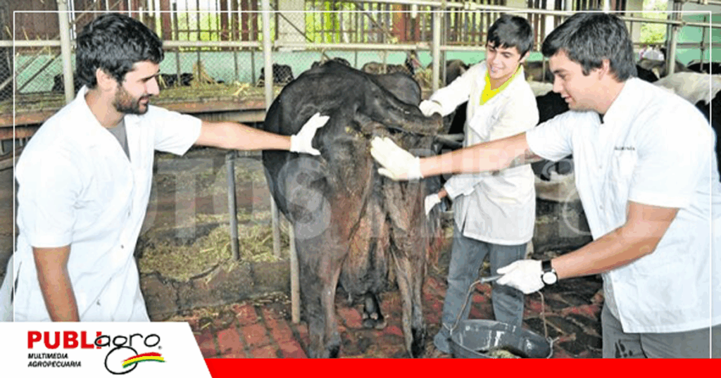 Foto: Publiagro