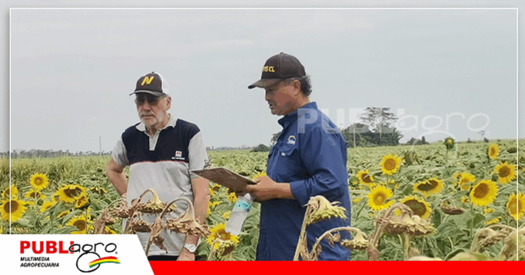 Mario Zankis de Interagro mostró con papeles la afectación a los cultivos / Foto: Publiagro