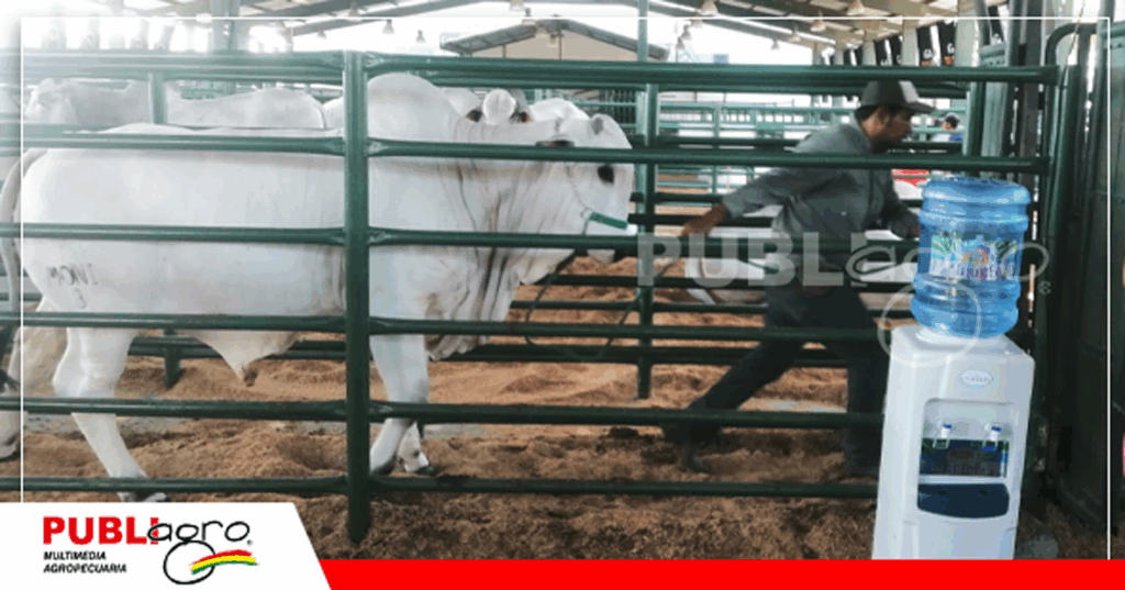 Foto: Publiagro