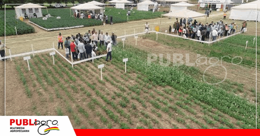 Foto: Publiagro
