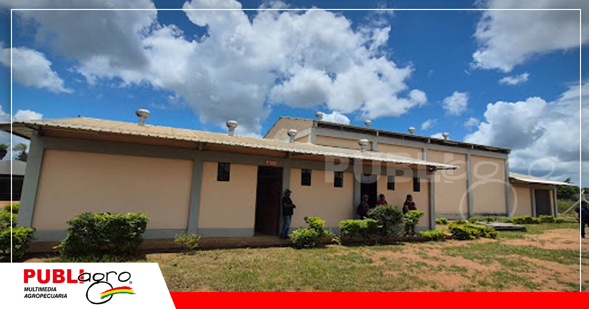 Foto: Gobierno Municipal de Concepción