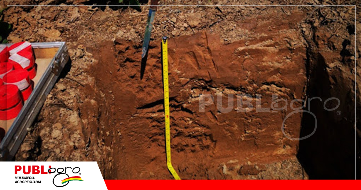 Los estudios de suelos también son temas que se abordan en la Exposoya/ Foto: Publiagro