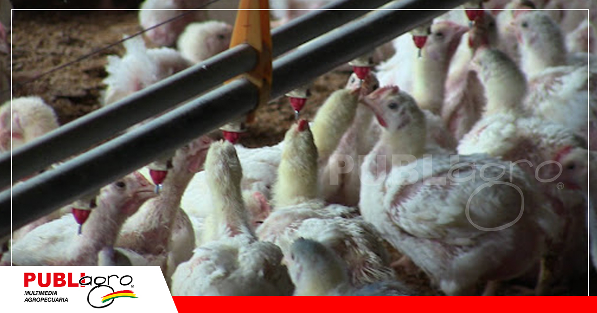 129 Foto: Publiagro