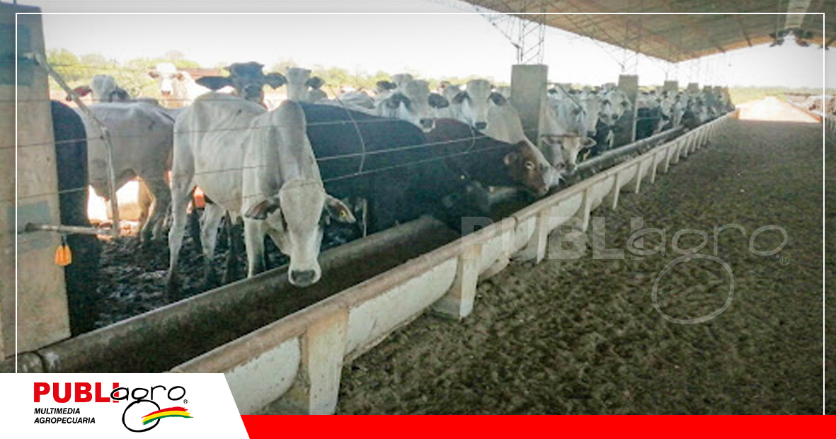 Foto: Archivo Publiagro