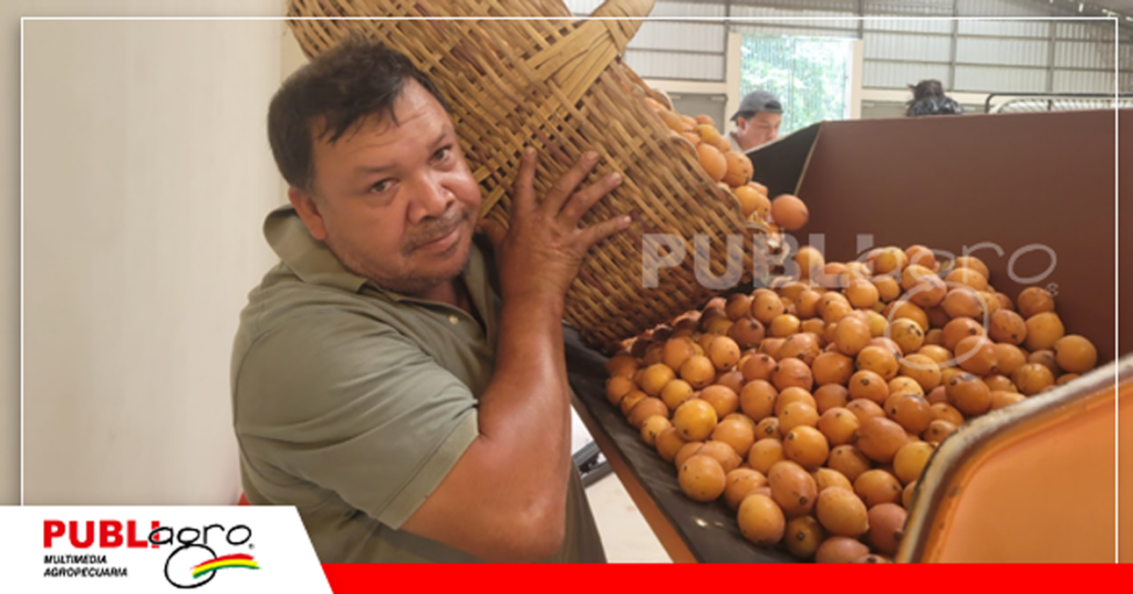 José Luis Suárez seleccionó toda su producción/ Foto: Alcaldía de Porongo